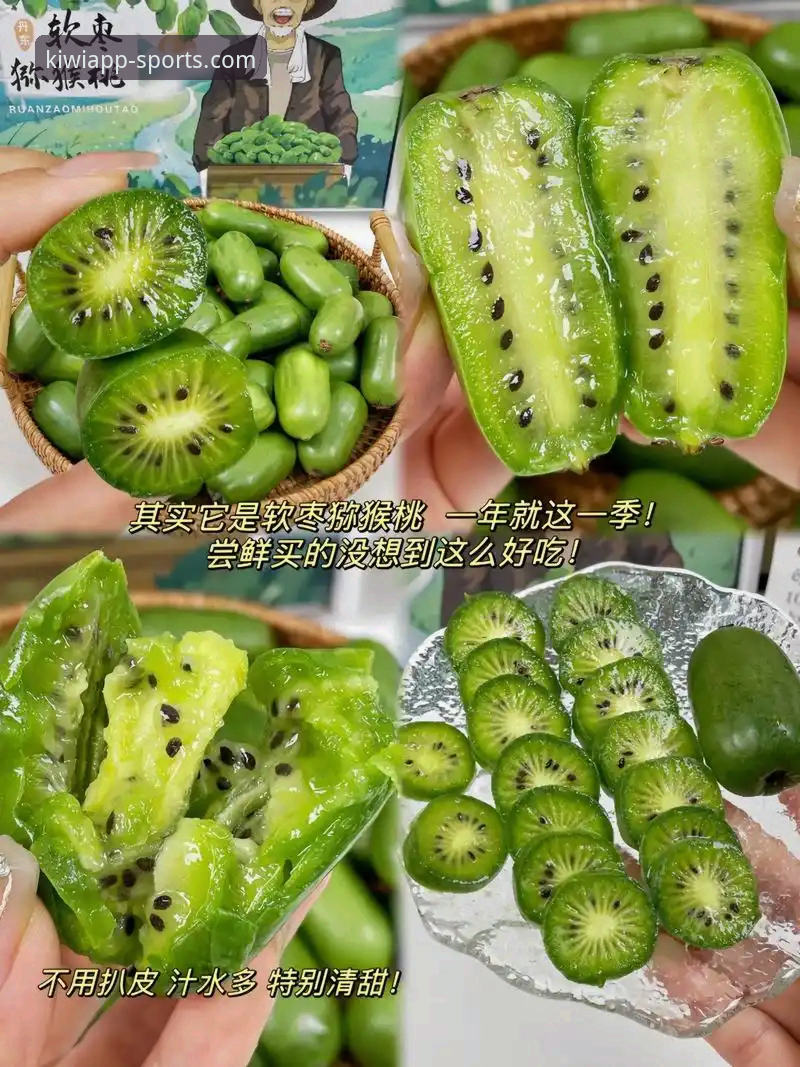 奇异果体育中国版教程 奇异果体育中国版教程全面解析:从下载安装到实战操作的专业指南
