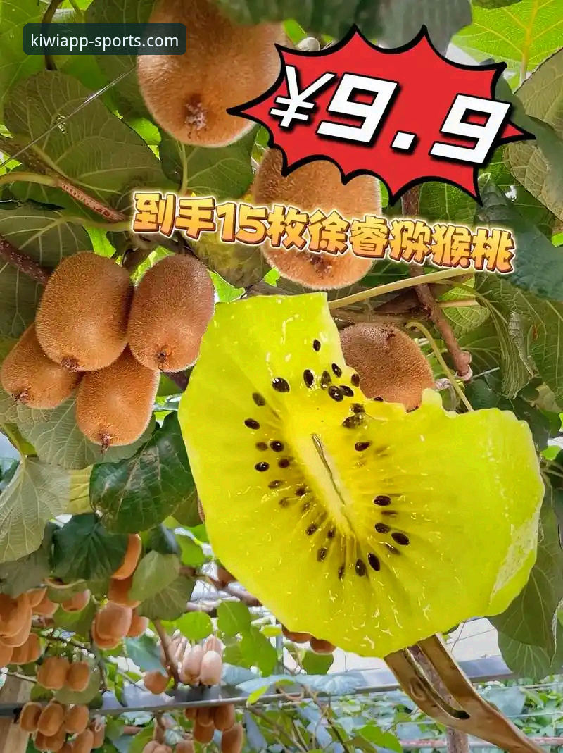 奇异果体育直播平台iOS版 奇异果体育直播平台iOS版深度解析:功能、性能与用户体验全面评测